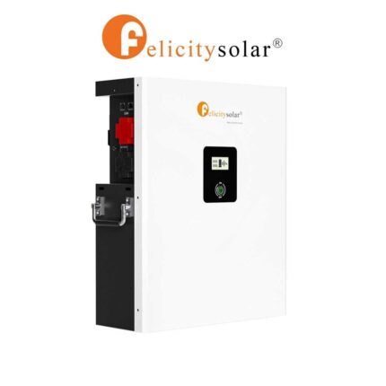 BATERIA LITIO 100A 51.2V FELICITY 5KW LPBF
