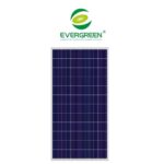 PANEL SOLAR 150W 12V EVERGREEN MONOCRISTALINO